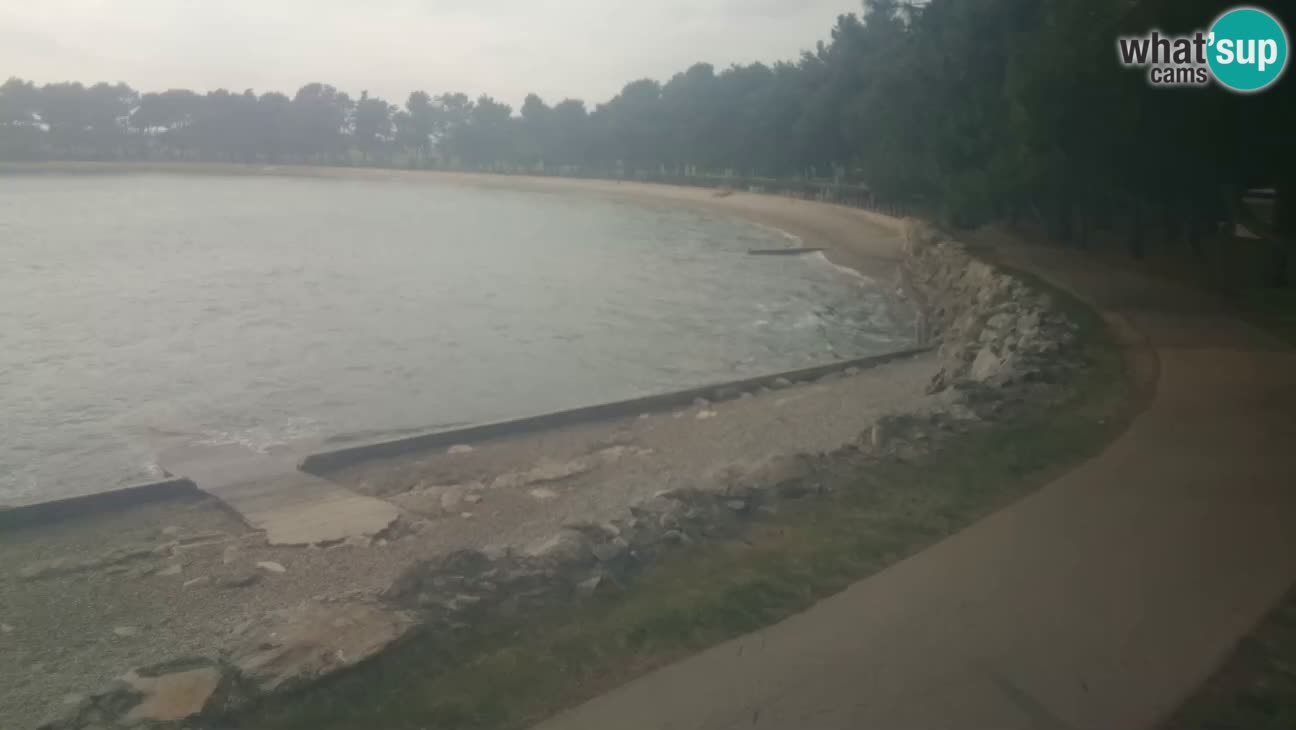 Novigrad live cam – Karpinjan beach