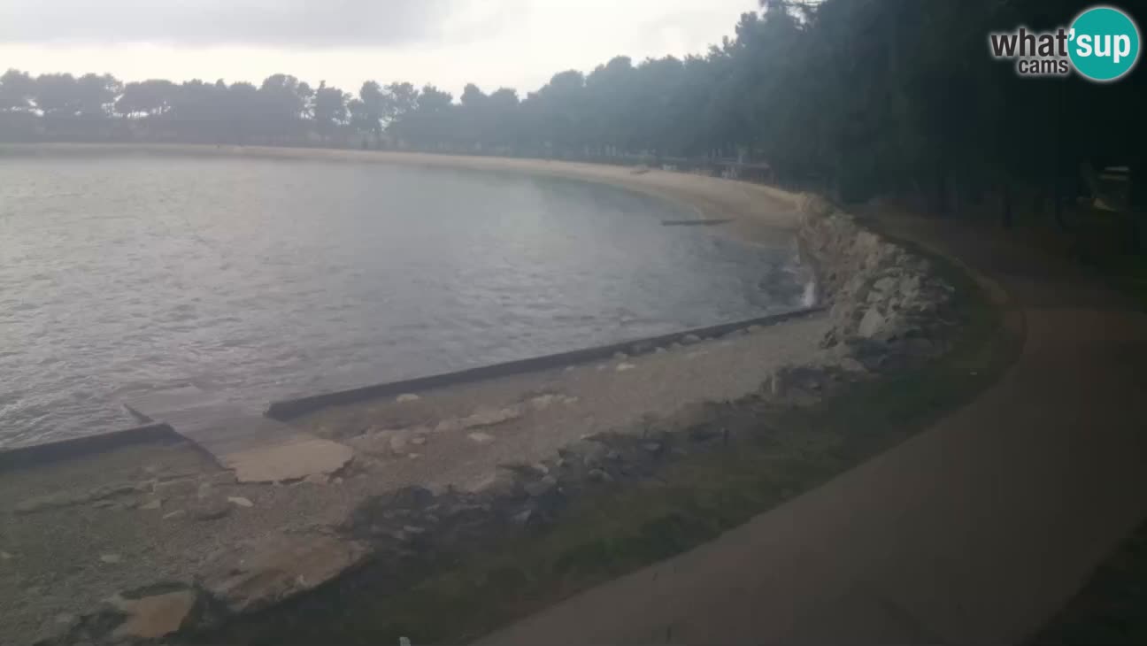 Cittanova – Spiaggia Karpinjan