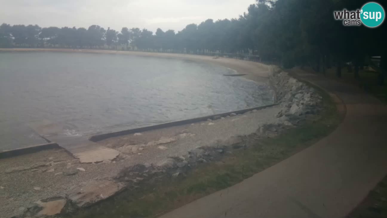 Novigrad live cam – Karpinjan beach