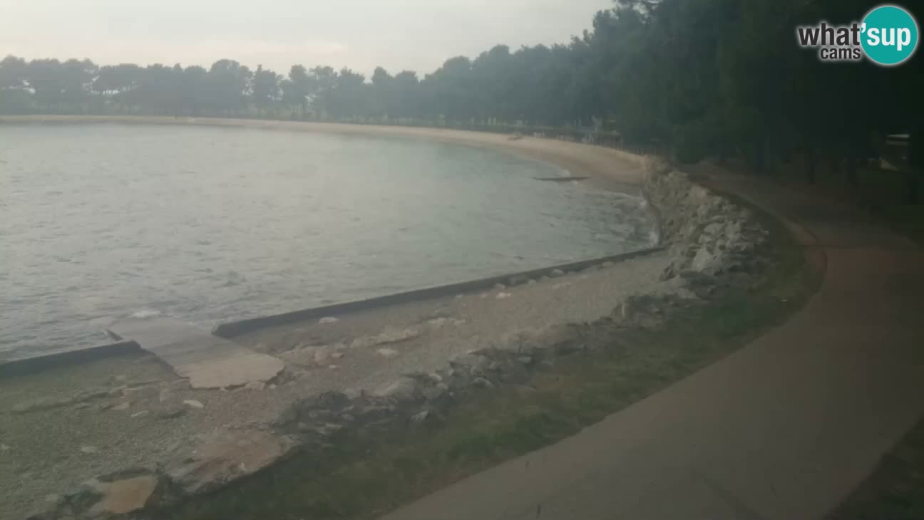Novigrad – Plage Karpinjan