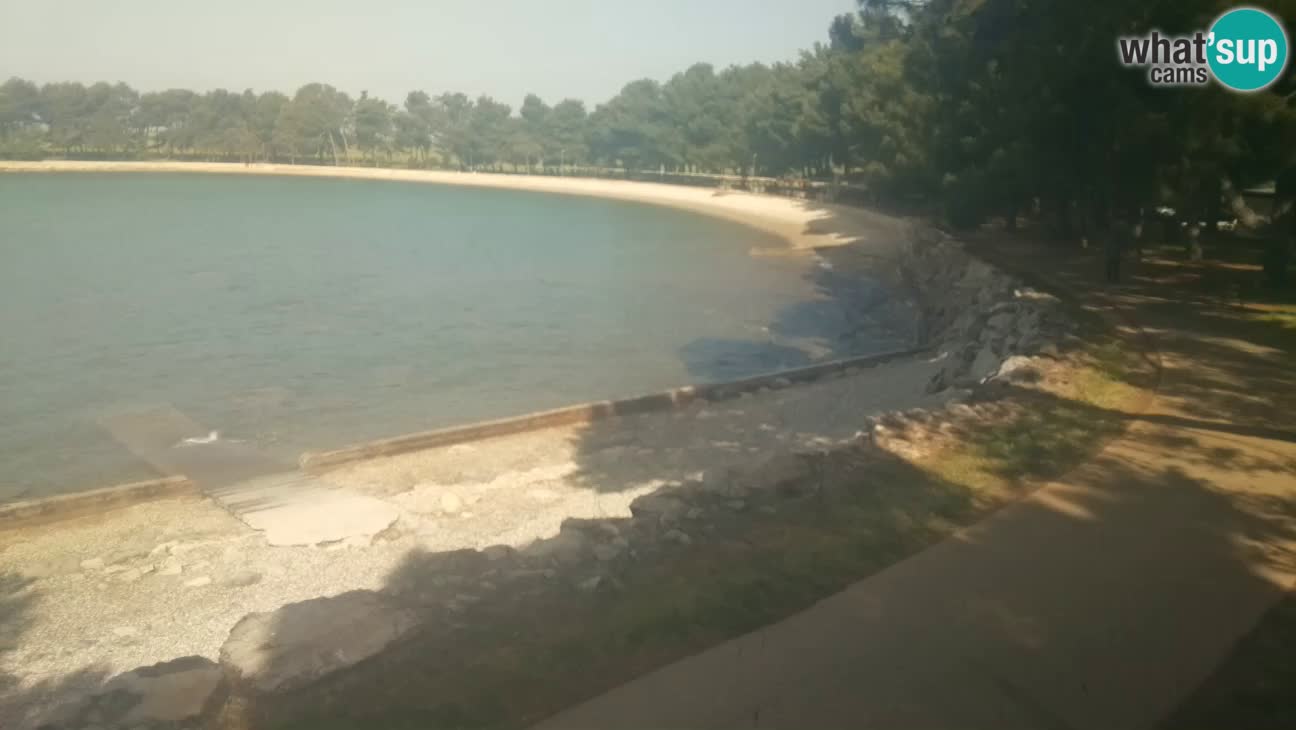 Novigrad – Playa Karpinjan