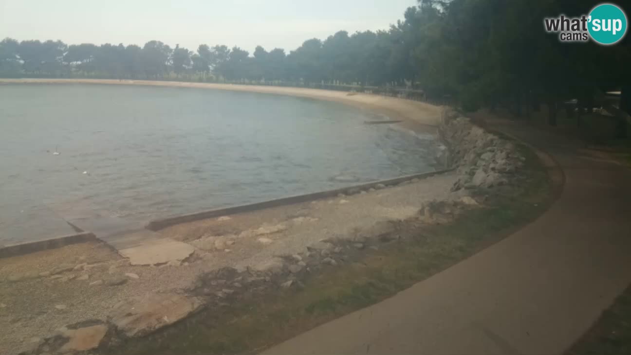 Cittanova – Spiaggia Karpinjan