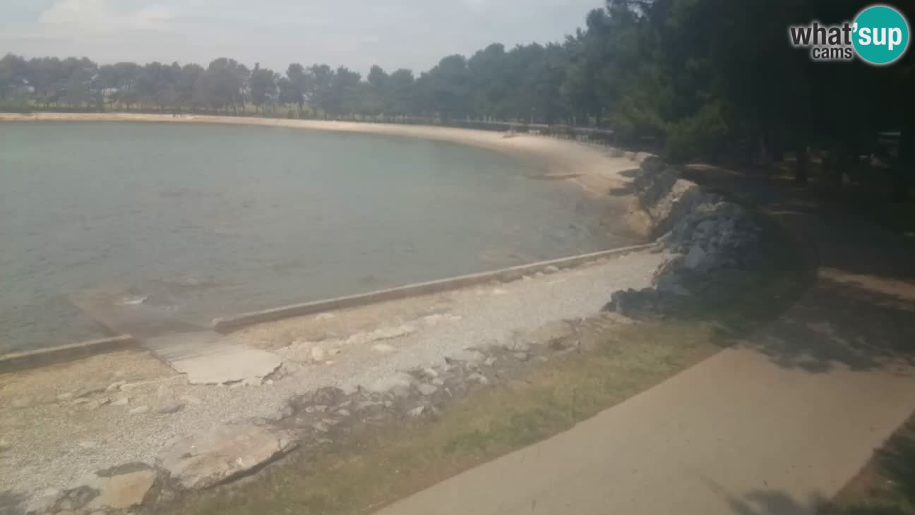 Novigrad live cam – Karpinjan beach