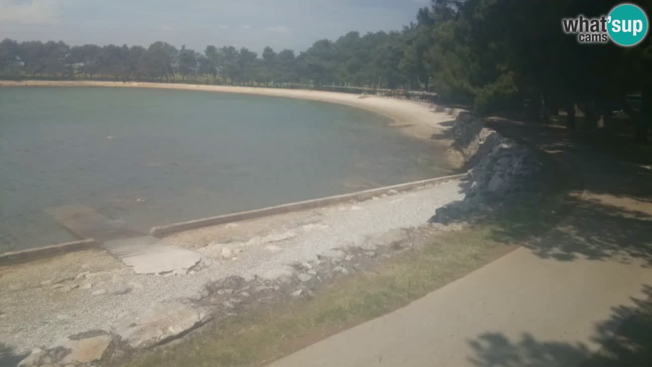 Novigrad – Strand Karpinjan webcam