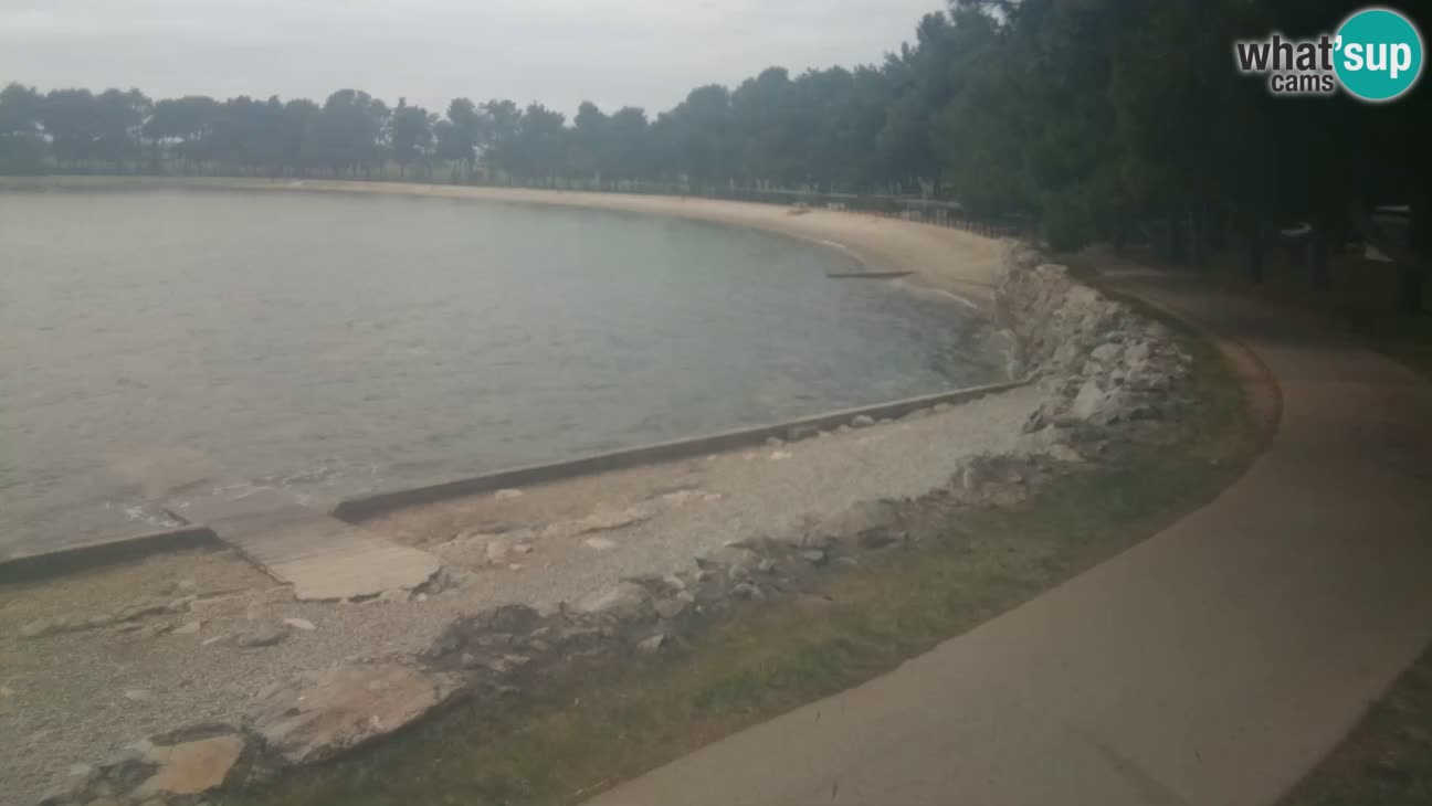 Novigrad – Plage Karpinjan