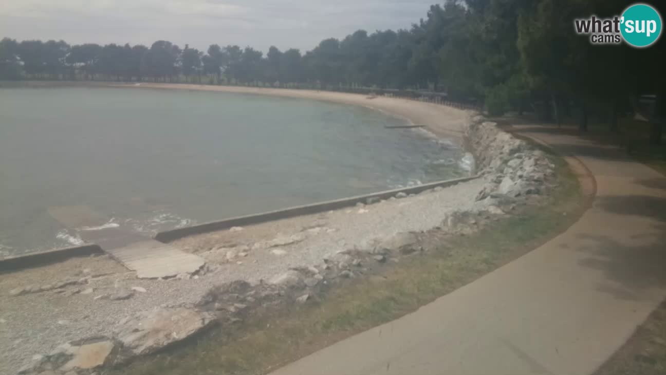 Cittanova – Spiaggia Karpinjan
