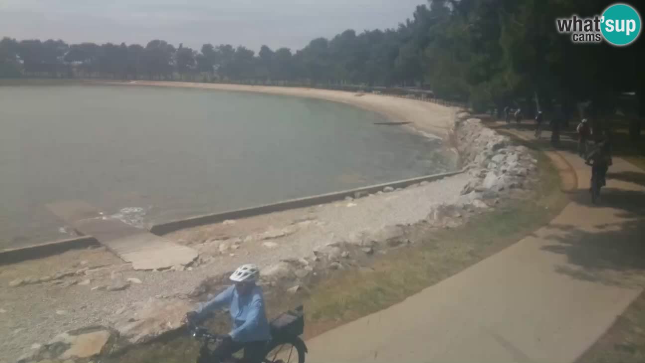 Novigrad – Plage Karpinjan