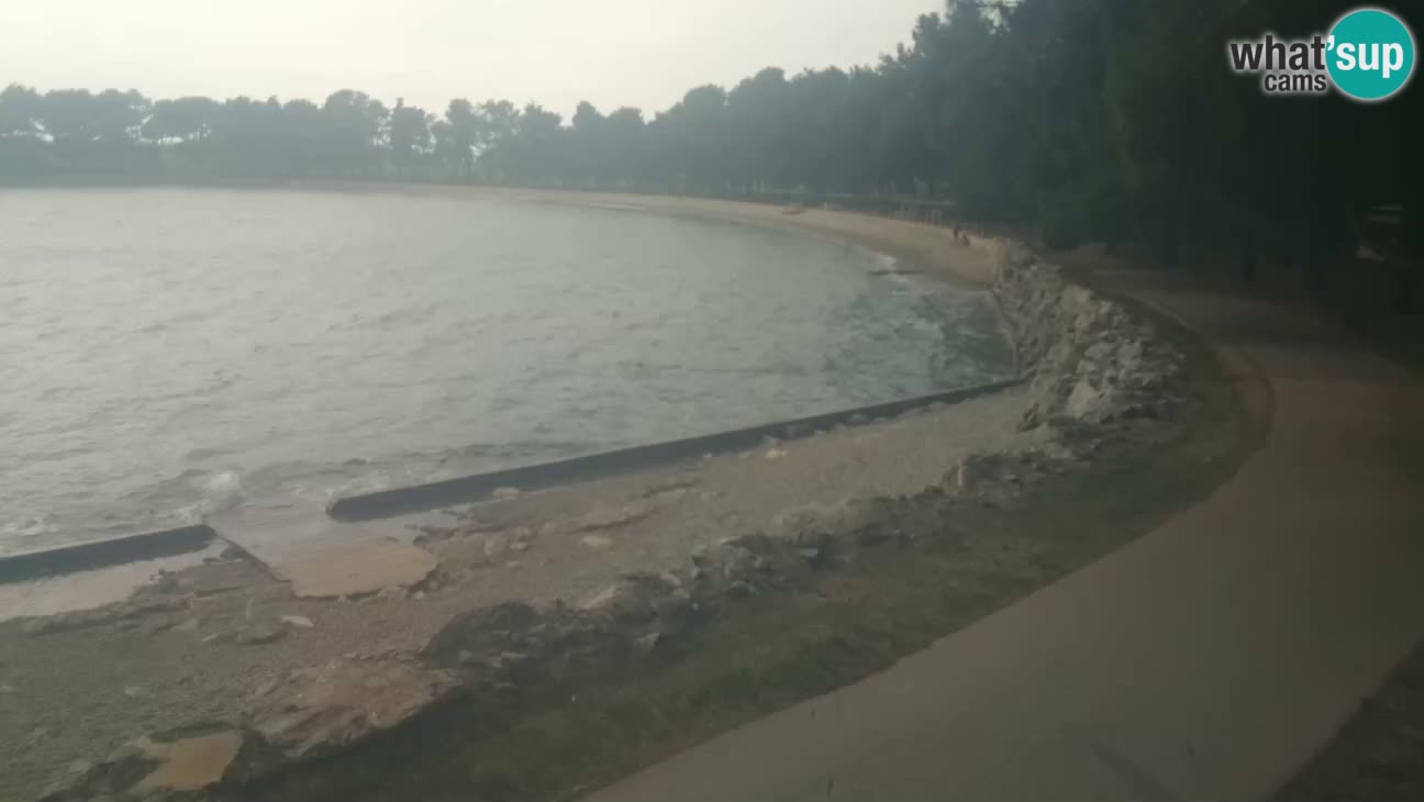 Novigrad – Playa Karpinjan