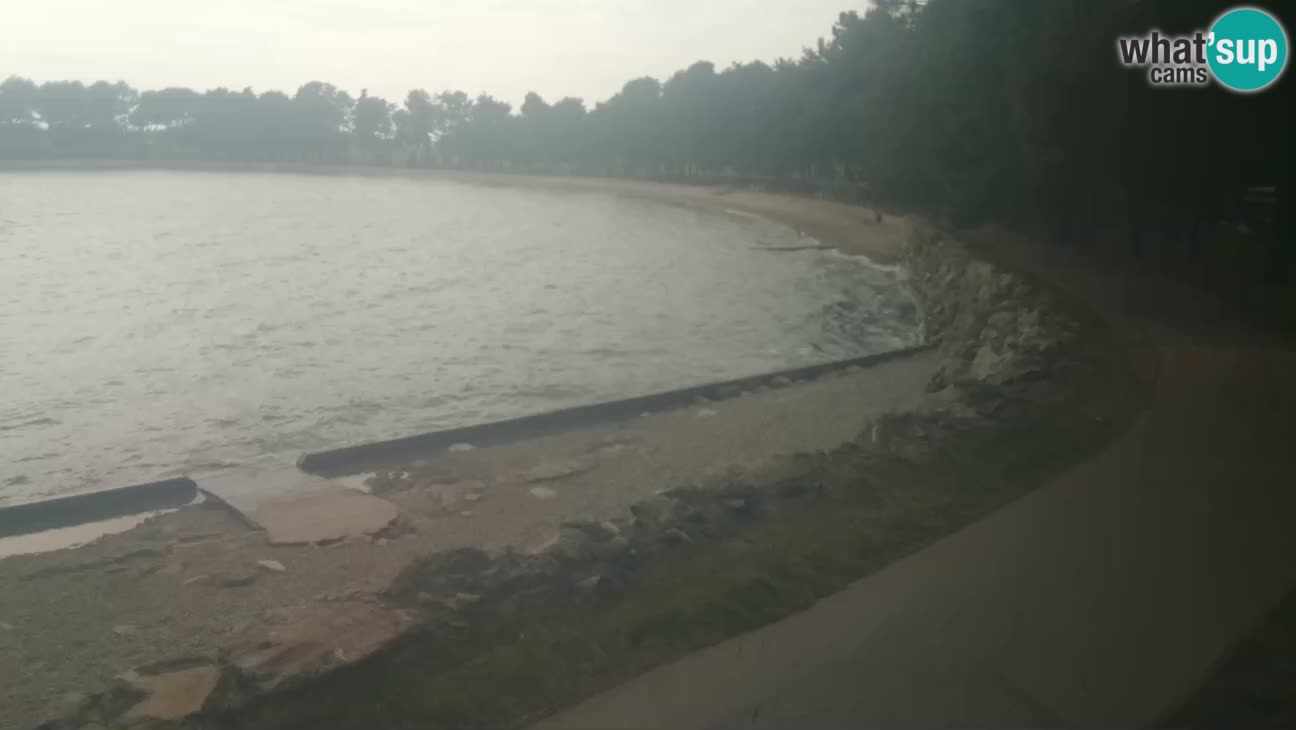 Novigrad – Playa Karpinjan
