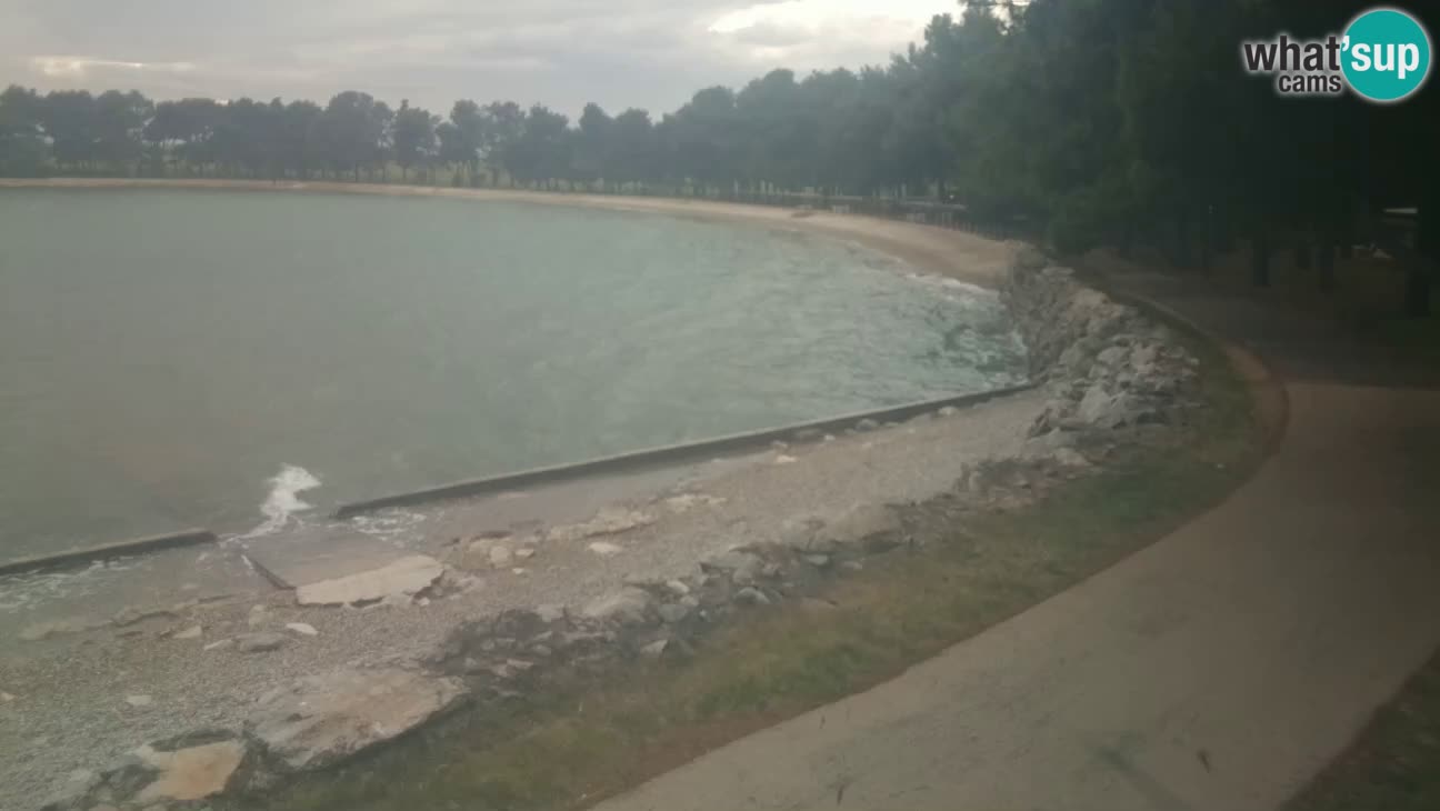 Novigrad live cam – Karpinjan beach