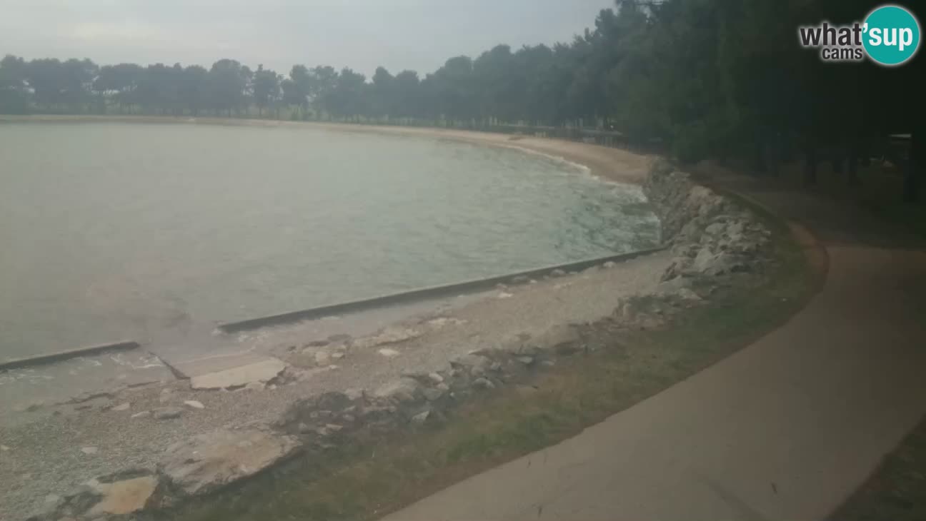 Novigrad – Playa Karpinjan