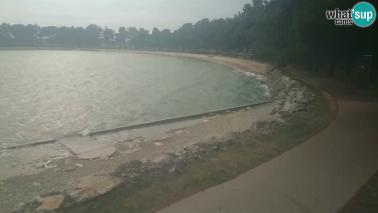 Novigrad live cam – Karpinjan beach