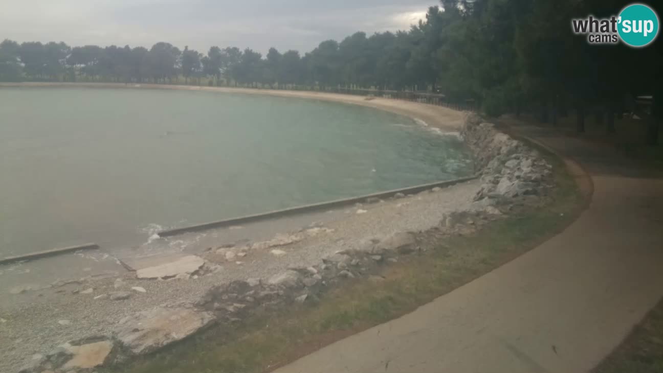 Novigrad – Playa Karpinjan