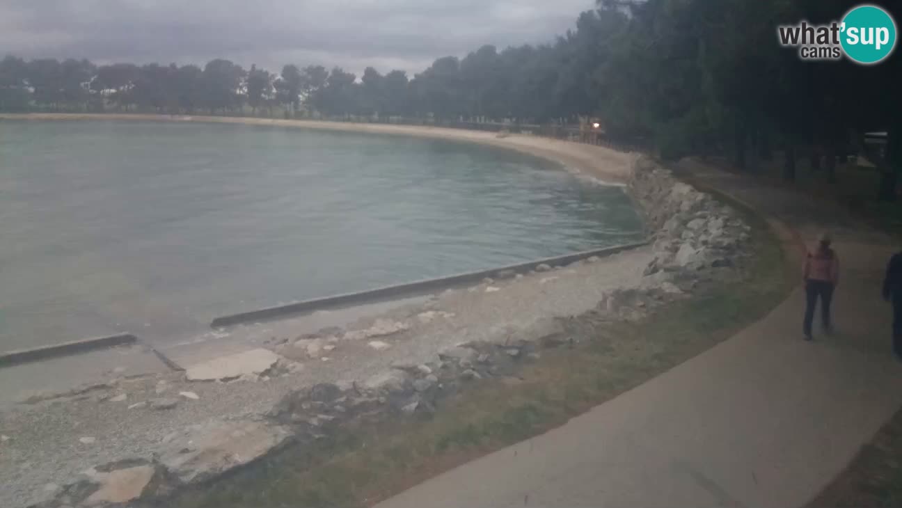 Novigrad – Plaža Karpinjan