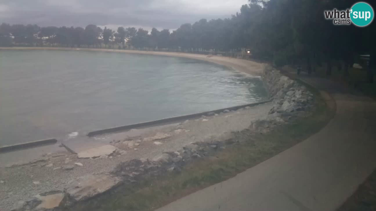 Novigrad – Playa Karpinjan