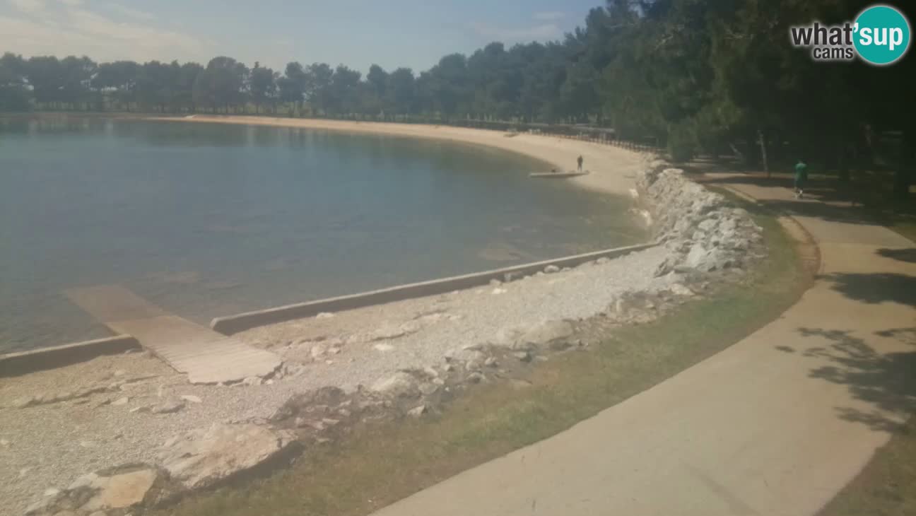 Novigrad – Strand Karpinjan webcam