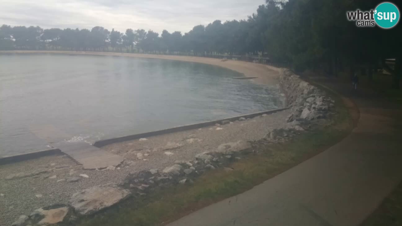 Novigrad live cam – Karpinjan beach