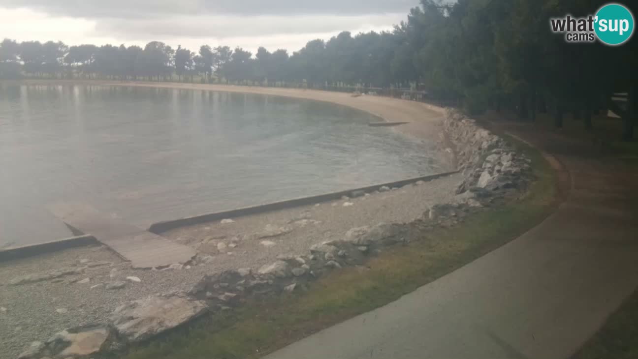 Novigrad – Plage Karpinjan
