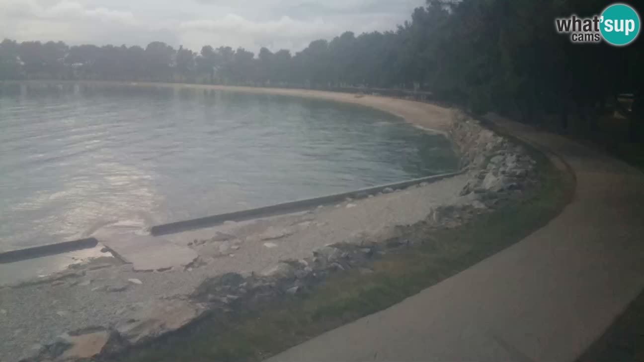 Novigrad – Plaža Karpinjan