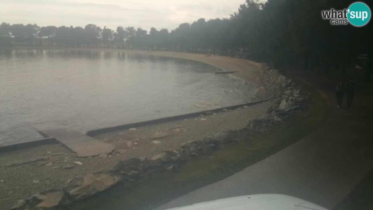 Novigrad – Strand Karpinjan webcam