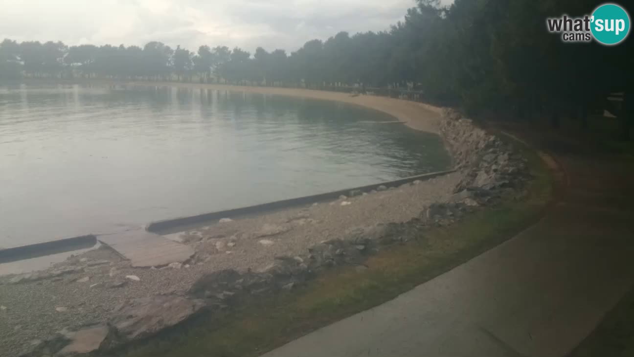 Novigrad – Plaža Karpinjan