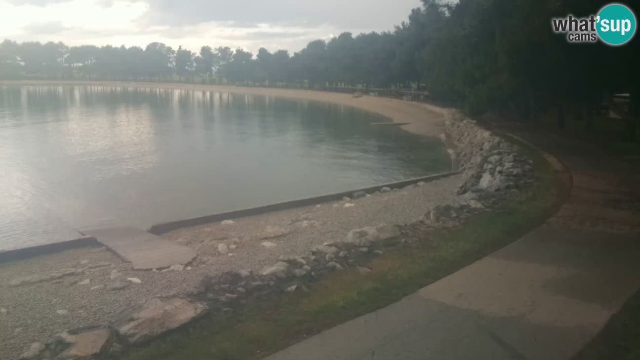 Novigrad – Playa Karpinjan