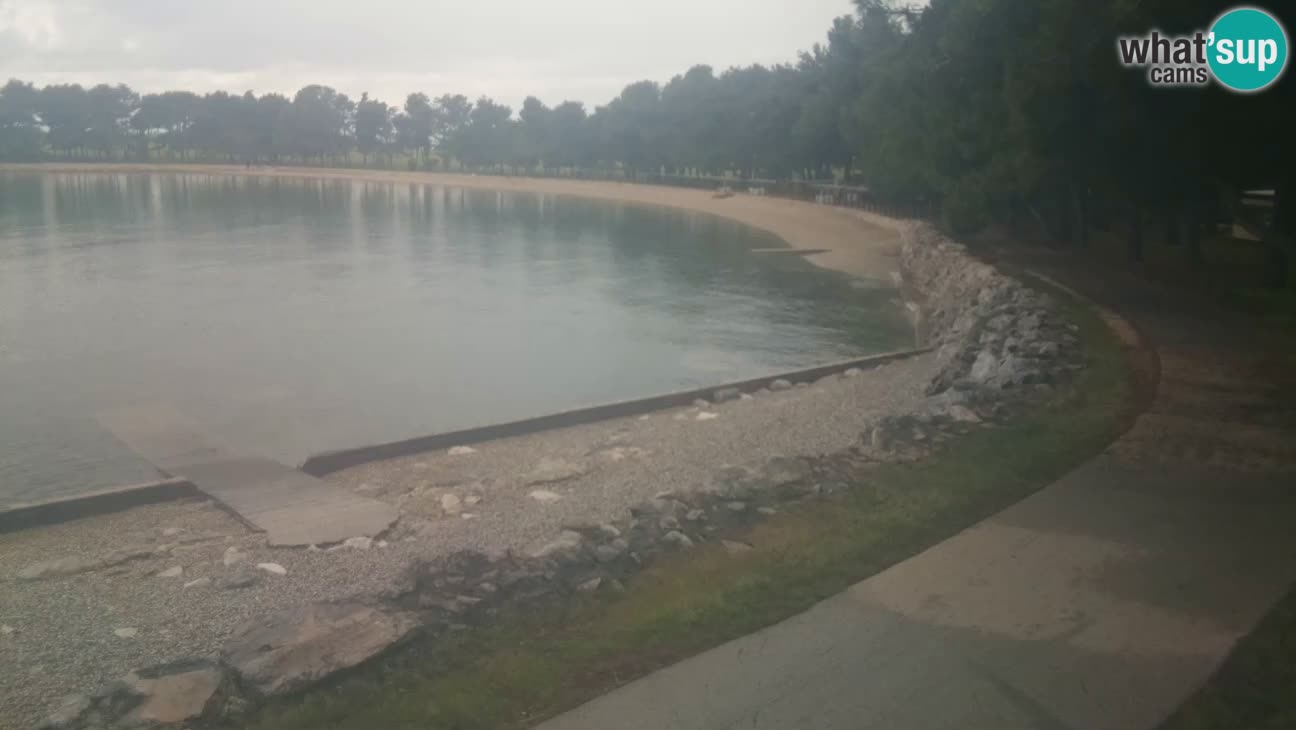 Novigrad – Playa Karpinjan