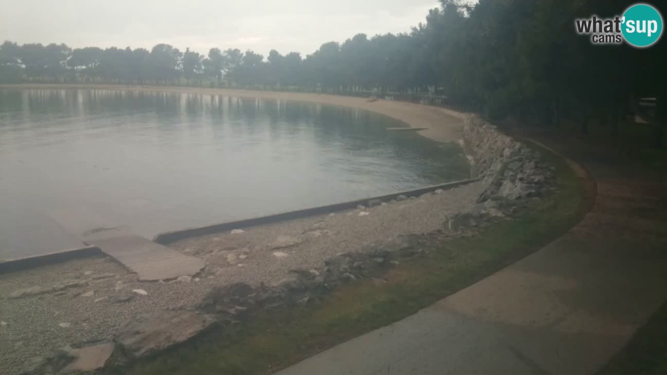 Novigrad live cam – Karpinjan beach