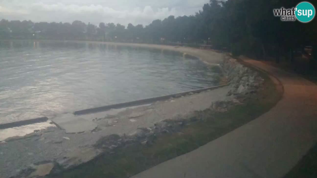 Novigrad – Plaža Karpinjan