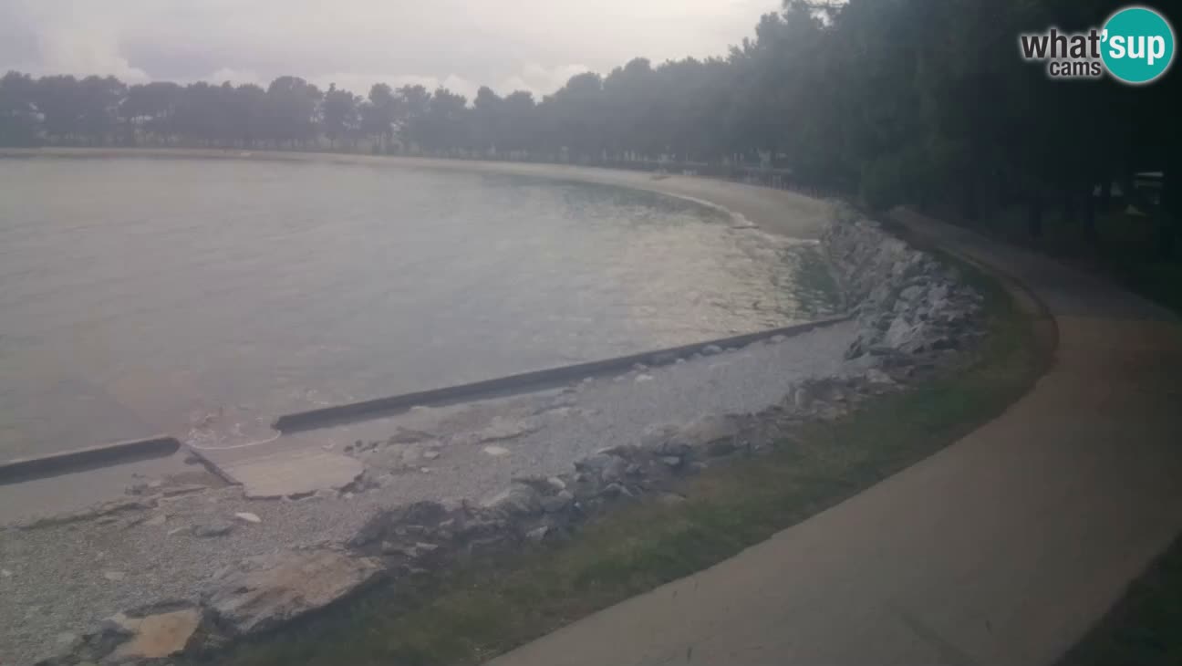 Novigrad – Plaža Karpinjan