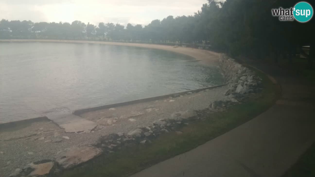 Novigrad live cam – Karpinjan beach