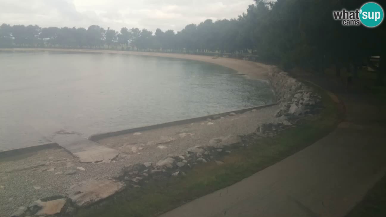 Novigrad – Plaža Karpinjan
