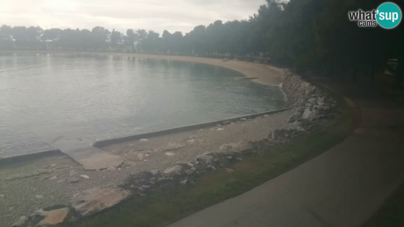 Novigrad – Playa Karpinjan