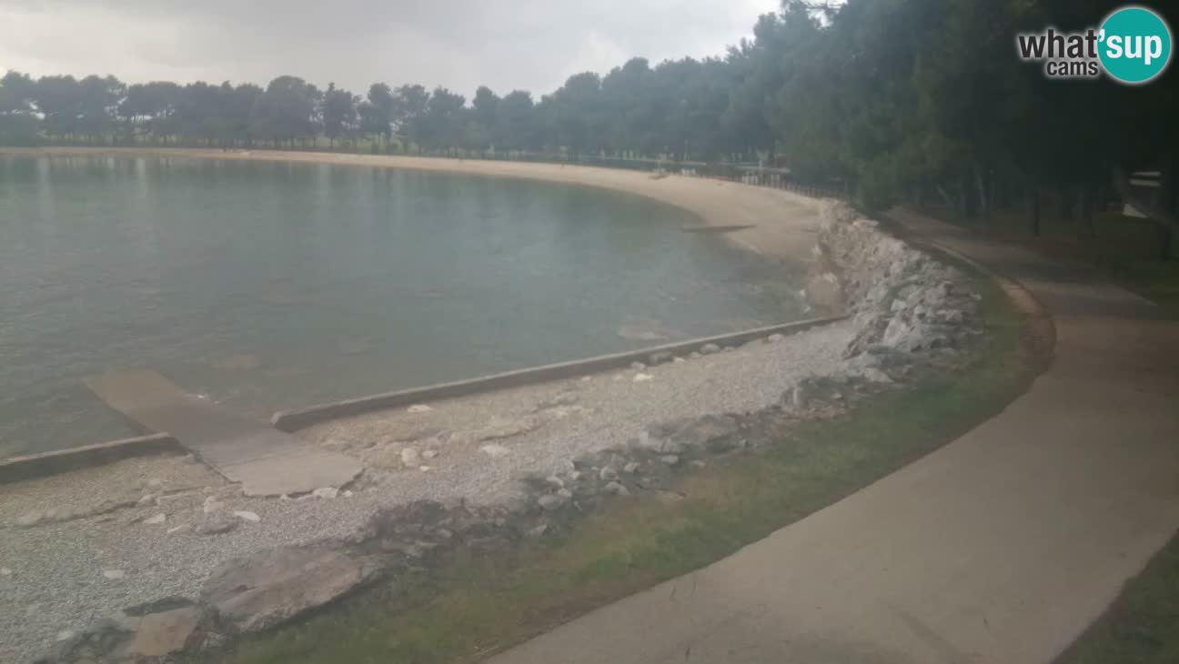 Novigrad – Strand Karpinjan webcam