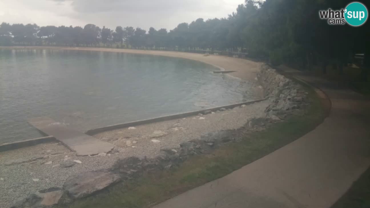 Novigrad – Strand Karpinjan webcam