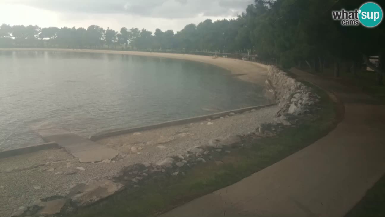Novigrad – Plaža Karpinjan