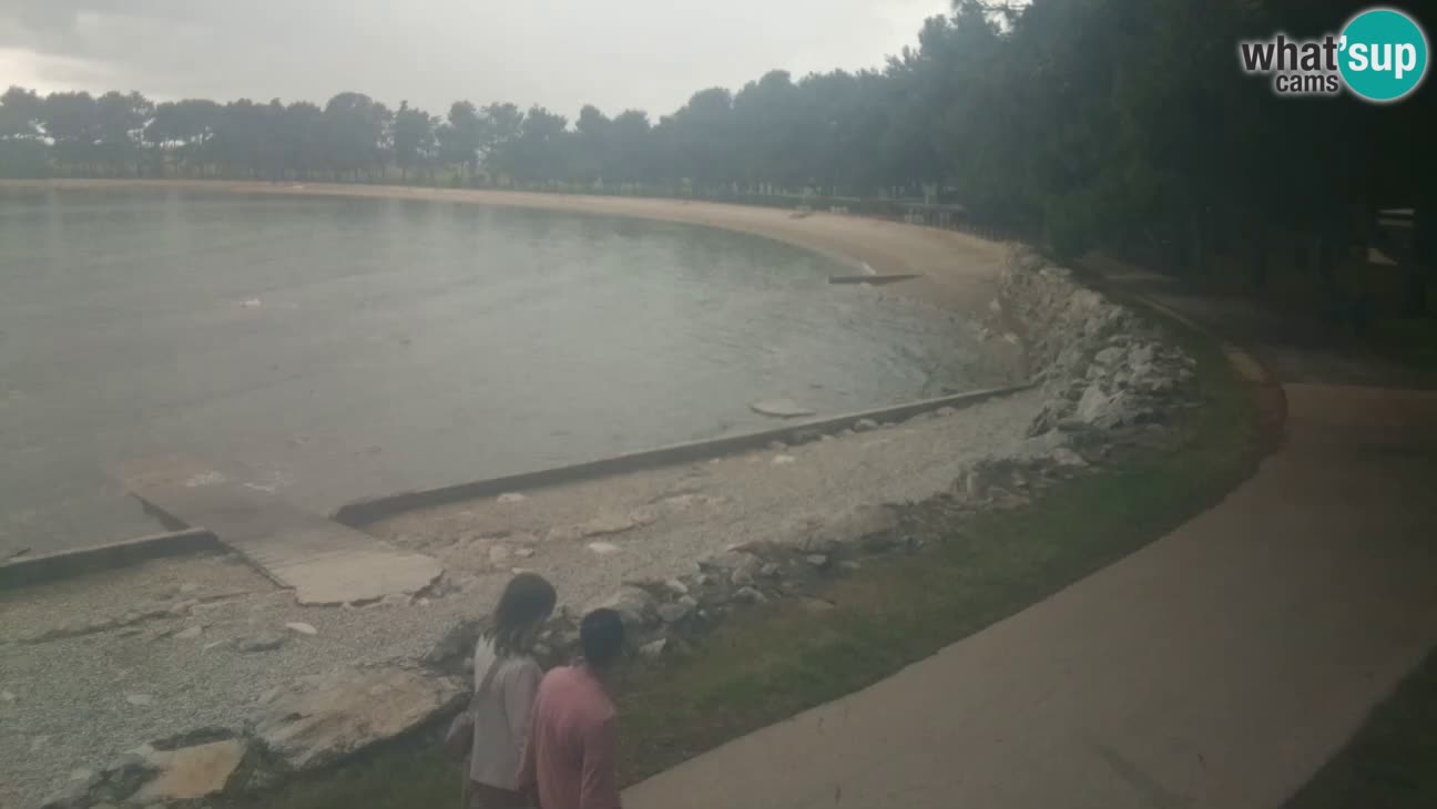 Novigrad live cam – Karpinjan beach