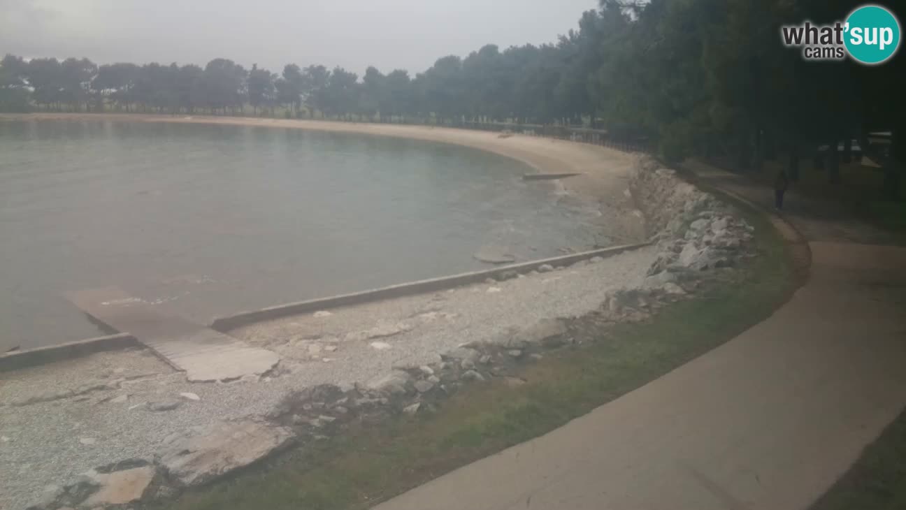 Novigrad – Strand Karpinjan webcam
