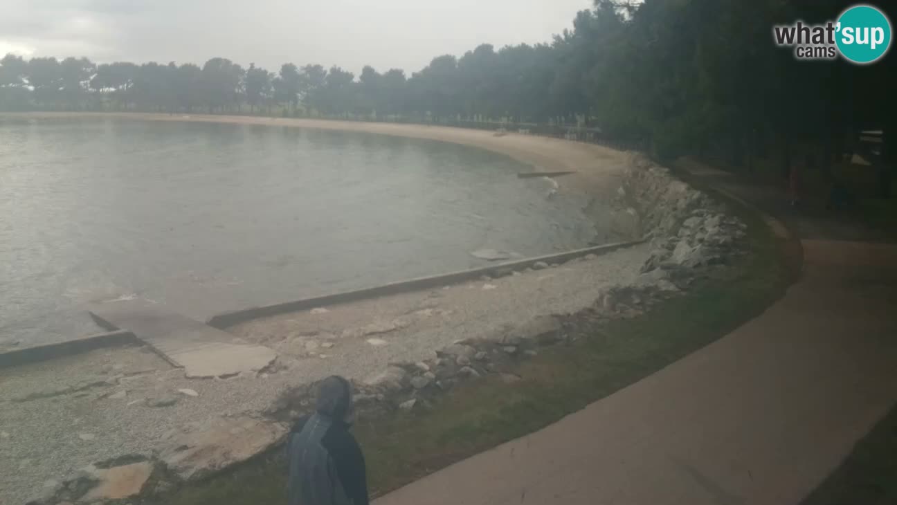 Novigrad – Plaža Karpinjan