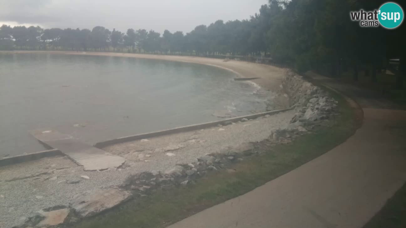Novigrad – Plaža Karpinjan