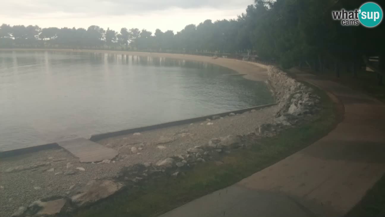 Novigrad – Plaža Karpinjan