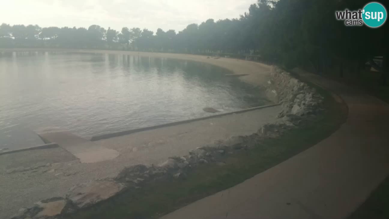 Novigrad – Plaža Karpinjan