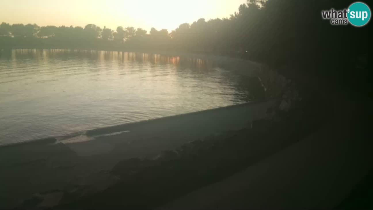 Novigrad – Plaža Karpinjan