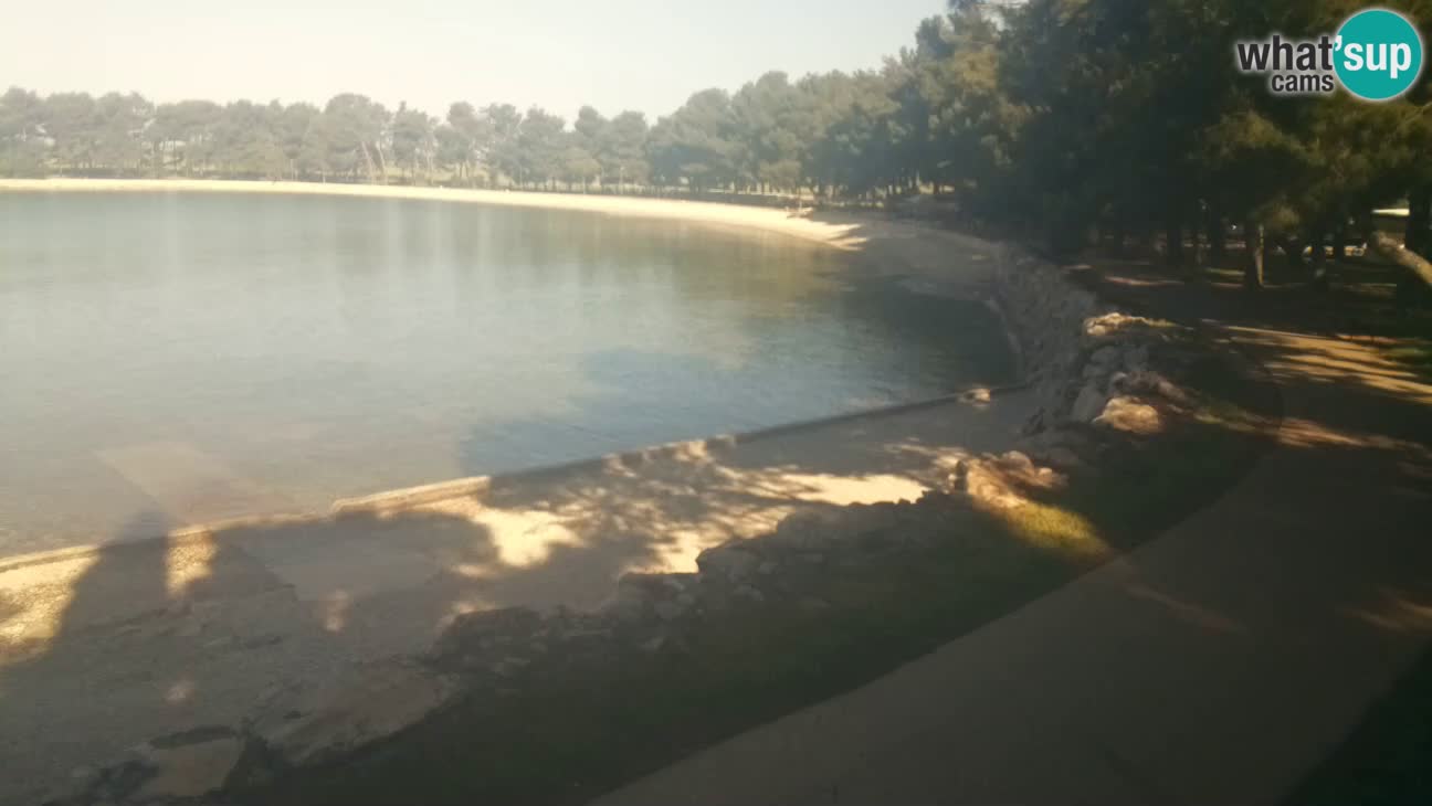 Novigrad live cam – Karpinjan beach