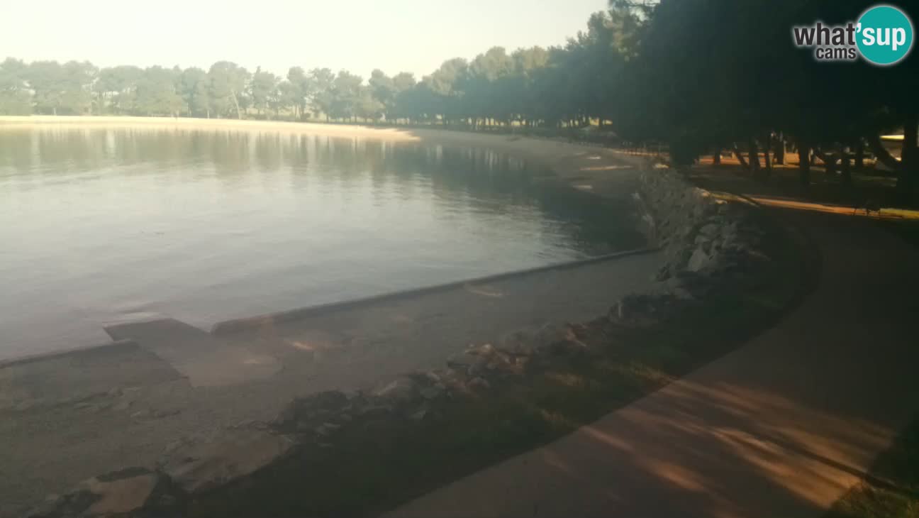 Novigrad – Plage Karpinjan