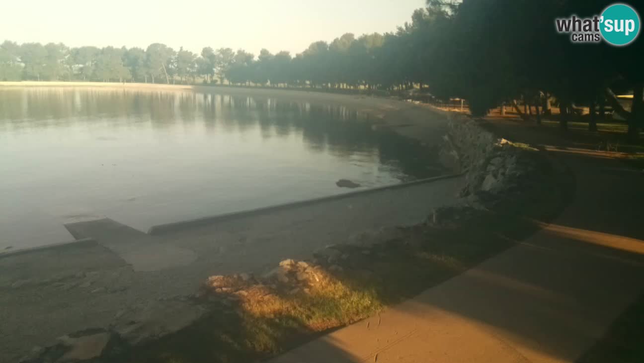 Novigrad live cam – Karpinjan beach