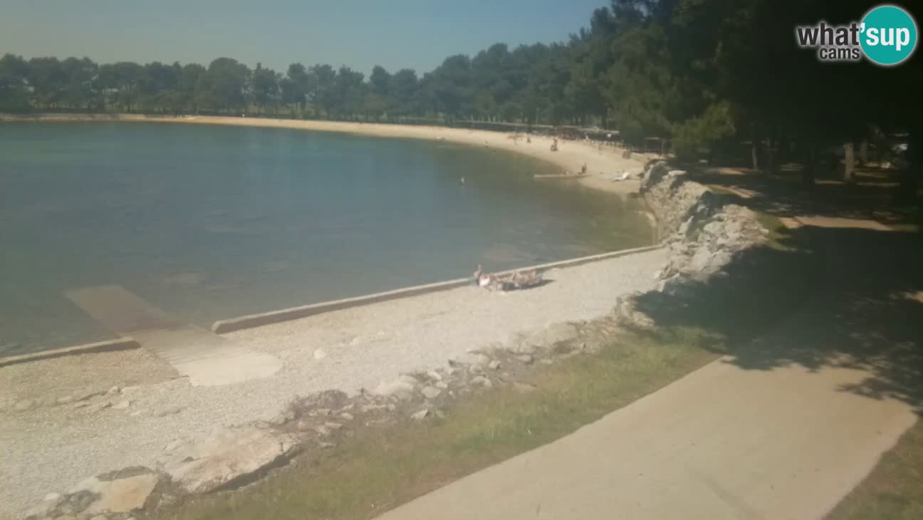 Novigrad live cam – Karpinjan beach