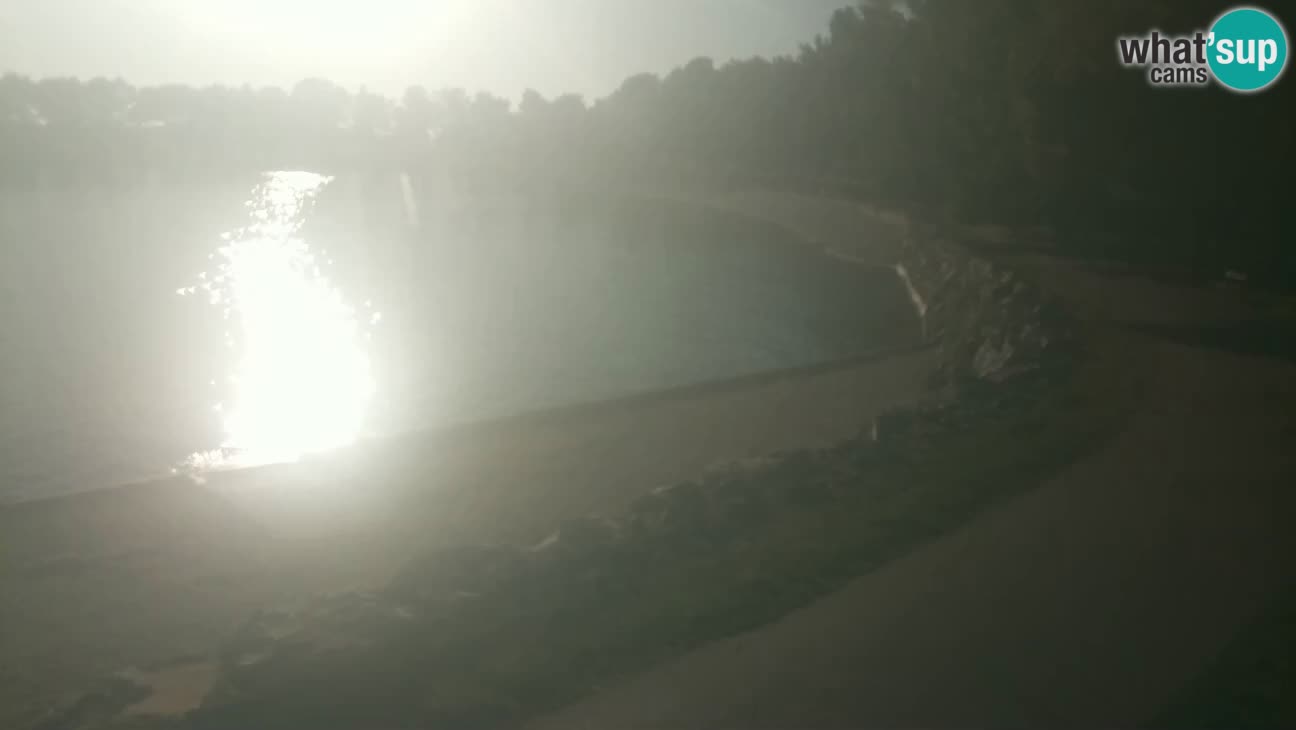Novigrad – Playa Karpinjan