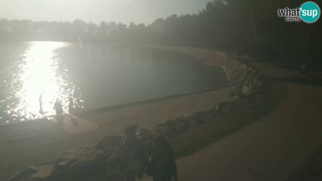 Novigrad – Playa Karpinjan
