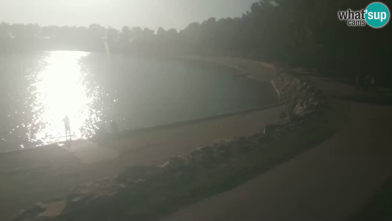 Novigrad – Plage Karpinjan